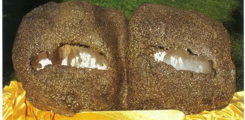 義雲高 神秘雾气雕