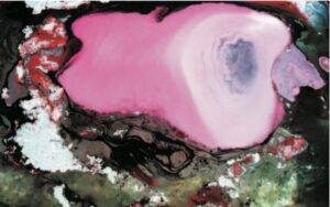 第三世多杰羌佛