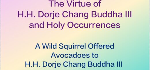 H.H. Dorje Chang Buddha III